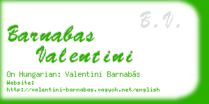 barnabas valentini business card